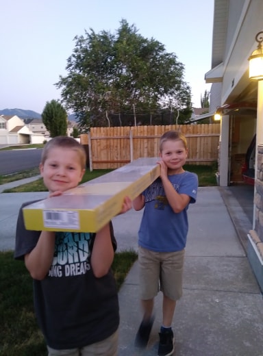 Twins carrying flooring